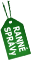 Ranné správy
